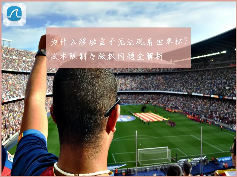 为什么移动盒子无法观看世界杯？技术限制与版权问题全解析