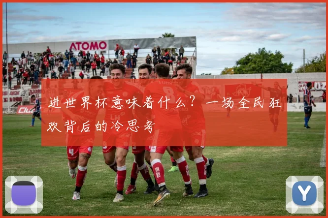 进世界杯意味着什么？一场全民狂欢背后的冷思考