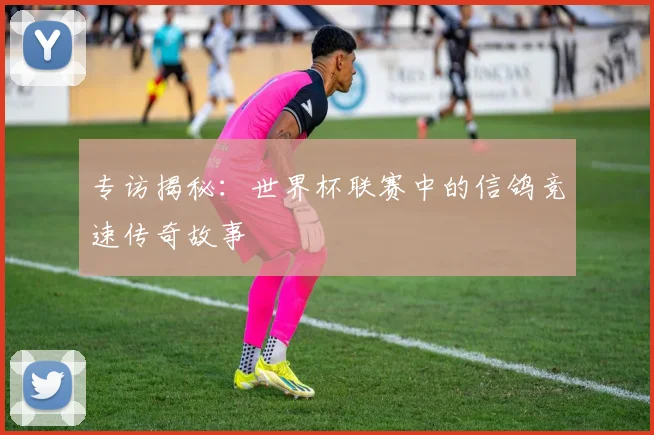 专访揭秘:世界杯联赛中的信鸽竞速传奇故事