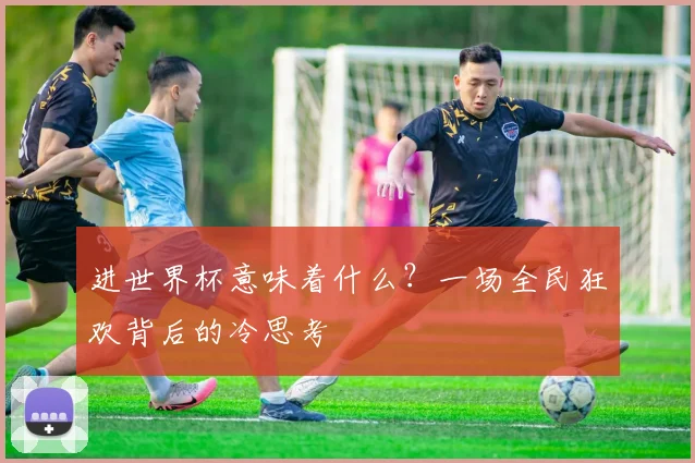 进世界杯意味着什么？一场全民狂欢背后的冷思考