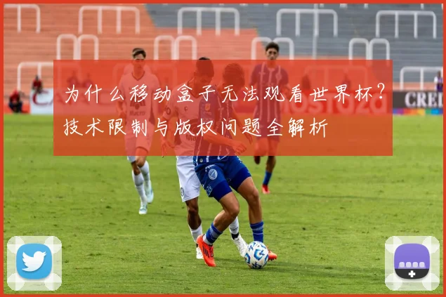 为什么移动盒子无法观看世界杯？技术限制与版权问题全解析
